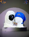 white scarf blue doctor's cap.webp
